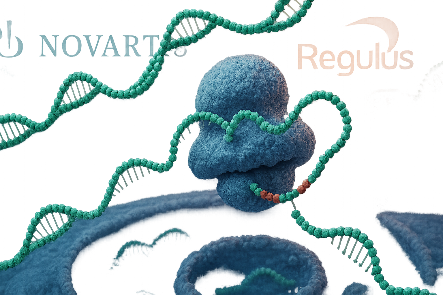 Novartis Ignites Billion-Dollar Bid for Regulus: A New Dawn for Kidney Disease Treatment?